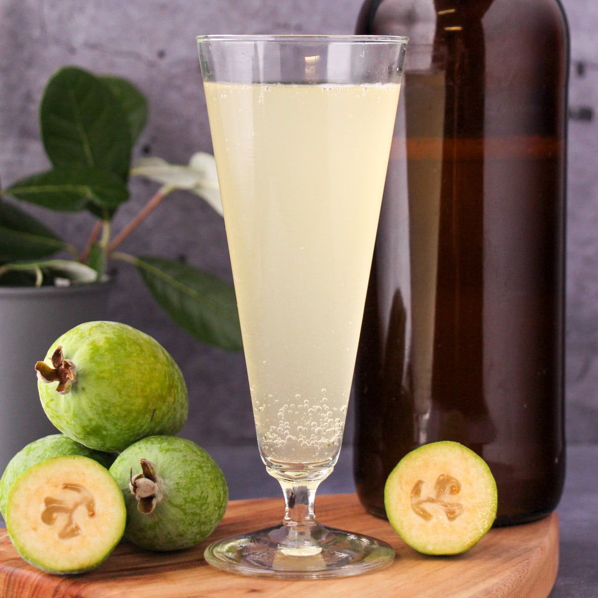 Close up tall glass of feijoa fizz on a board, with bottle of feijoa fizz, fresh feijoas and feijoa leaves.